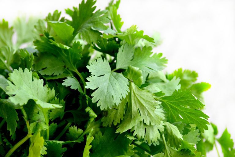 7 natural remedies for gout revealed