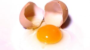 Eggs and Gout Image