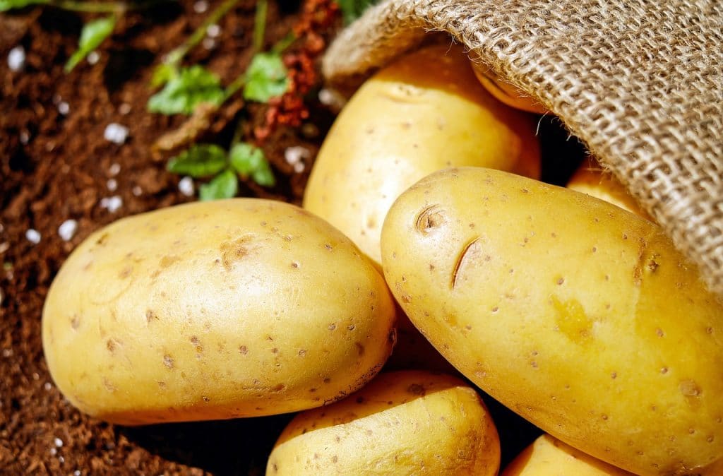 Potatoes and Gout