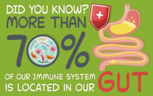 Gut Health and Gout